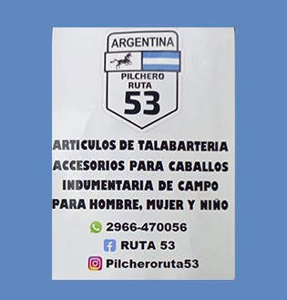 PILCHERO RUTA 53